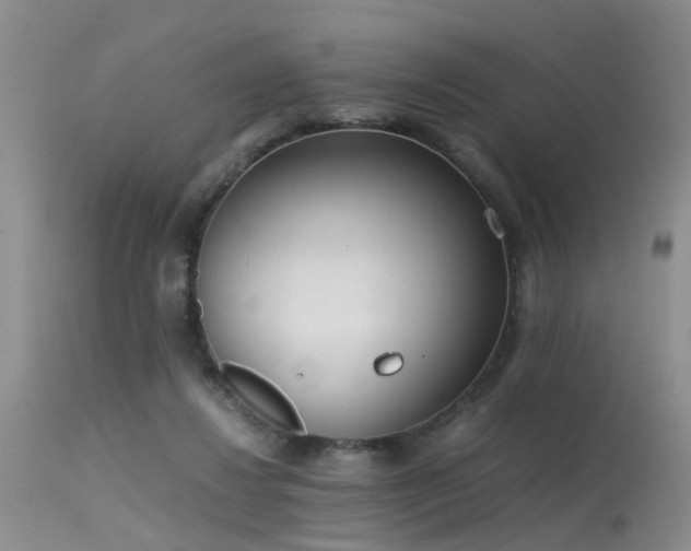 X0000115620260200911101421