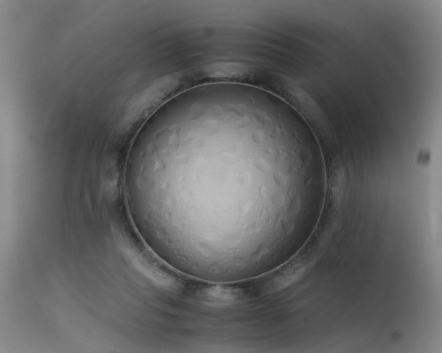 X0000115620261200911101421