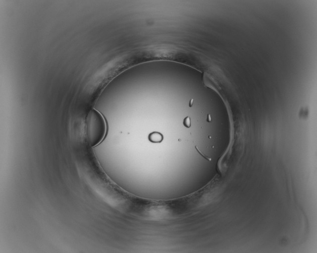 X0000115620262200911101422