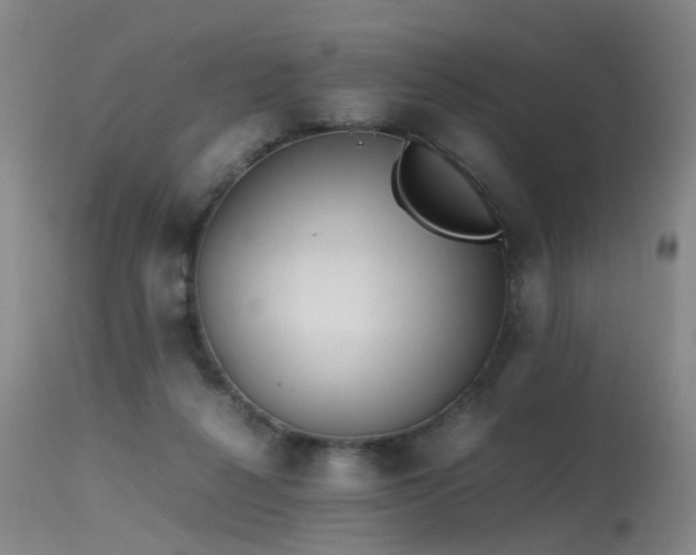 X0000115620264200911101422