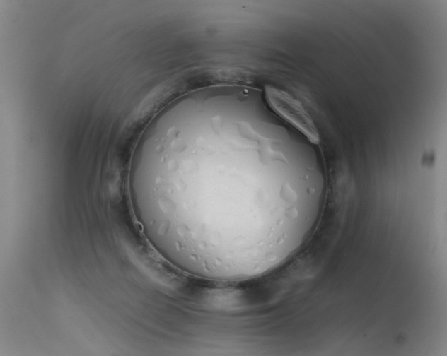 X0000115620266200911101422