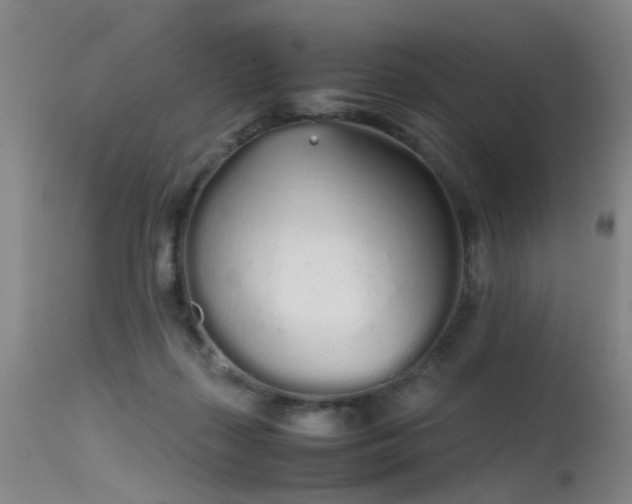 X0000115620267200911101422