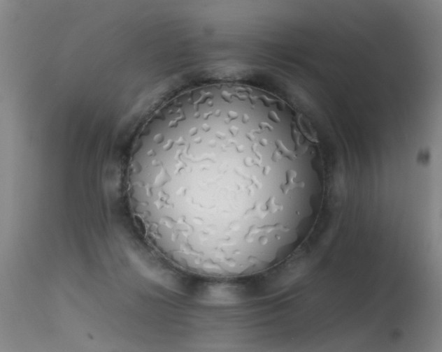 X0000115620268200911101422