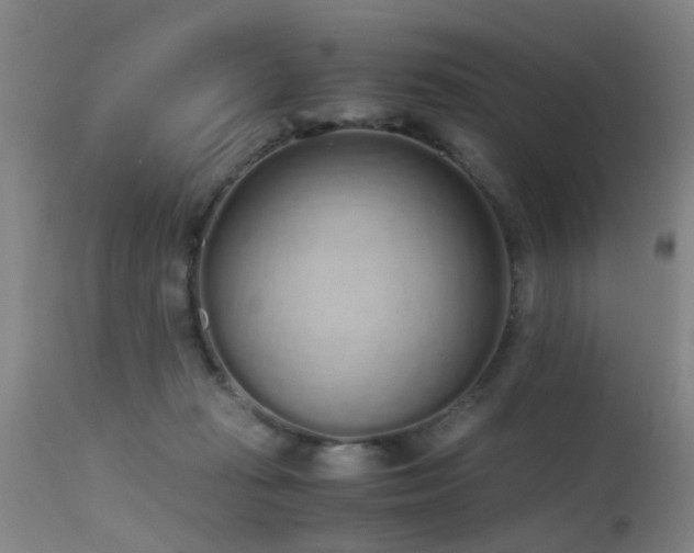 X0000115620269200911101422