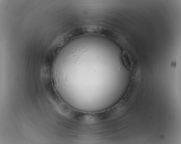 X0000115620272200911101422