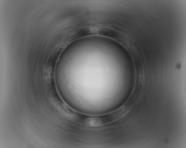 X0000115620275200911101422