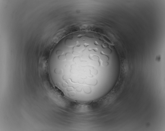 X0000115620276200911101422