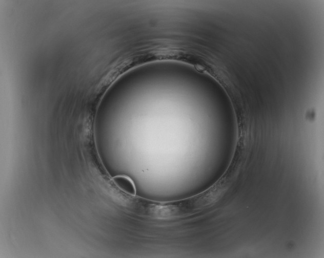 X0000115620277200911101422