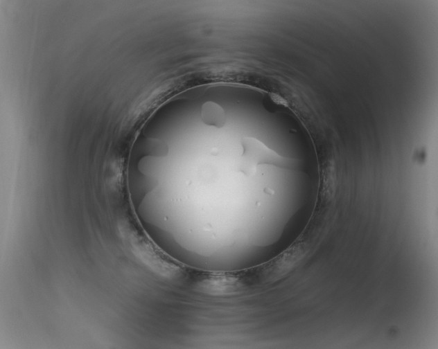 X0000115620278200911101422