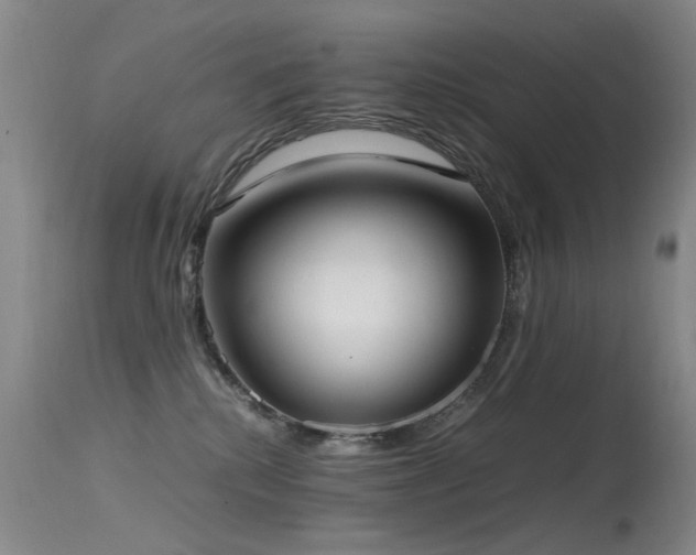 X0000115620280200911101422