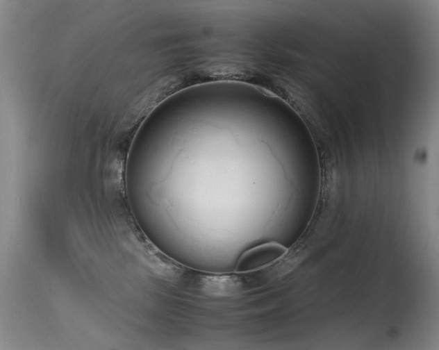 X0000115620281200911101422