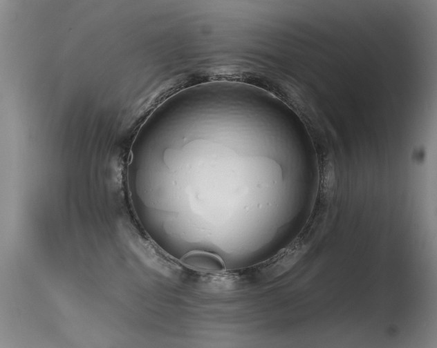 X0000115620282200911101422