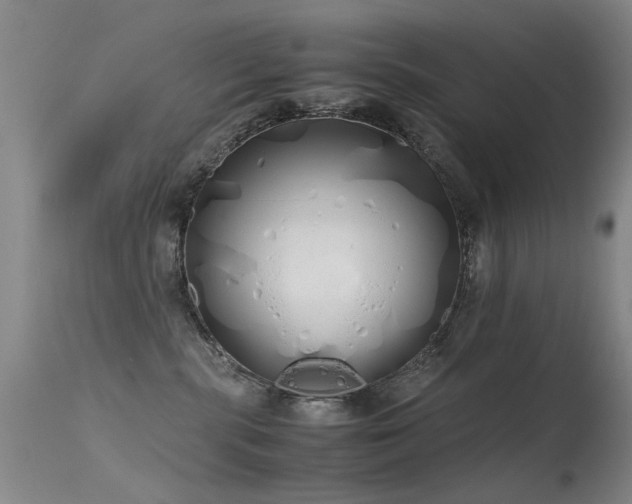 X0000115620283200911101422