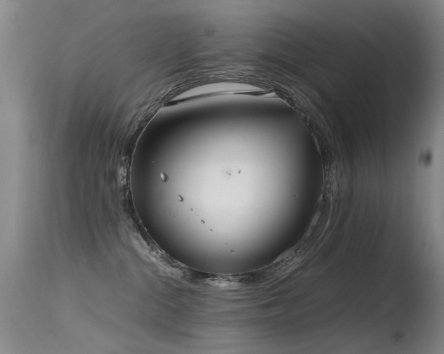 X0000115620284200911101422