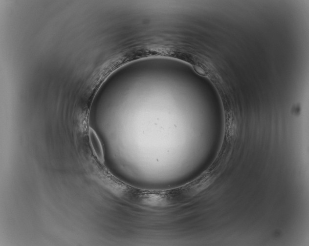 X0000115620285200911101422