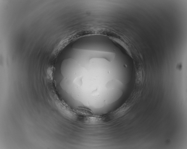 X0000115620286200911101422