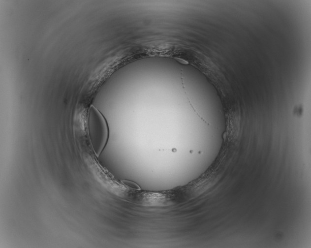 X0000115620287200911101422