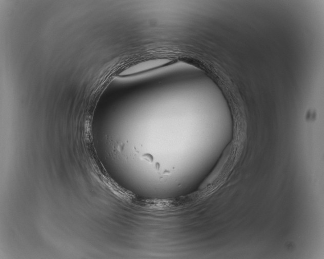 X0000115620288200911101422