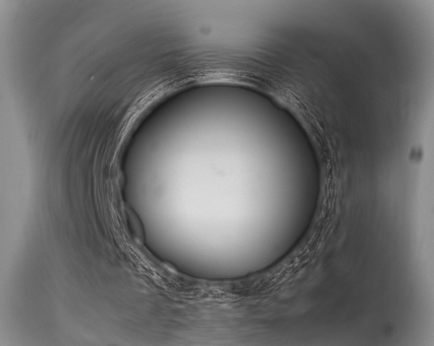 X0000115620289200911101421