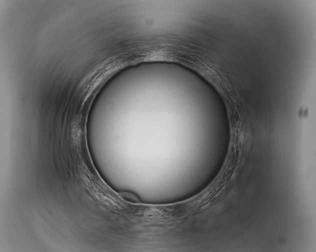 X0000115620290200911101421