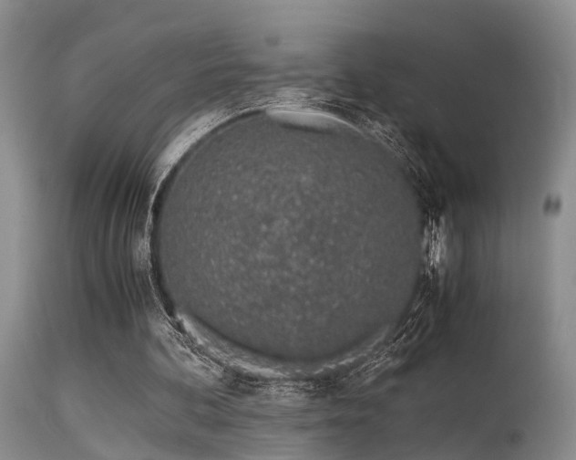 X0000115620292200911101421