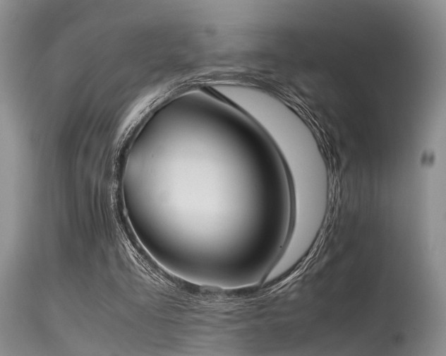 X0000115620293200911101421