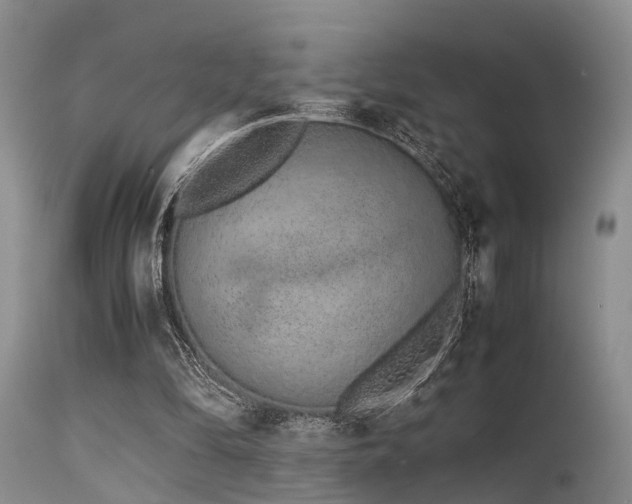 X0000115620294200911101421