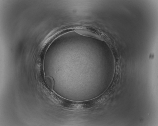 X0000115620295200911101421