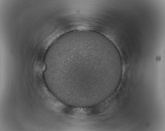 X0000115620297200911101421