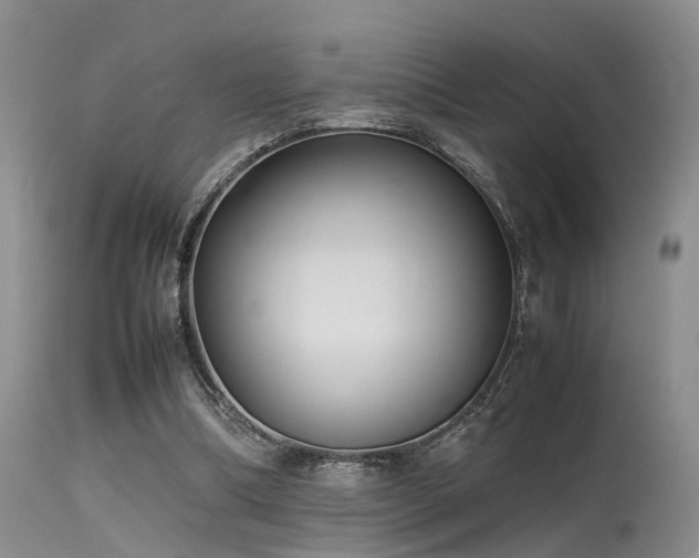 X0000115620298200911101421