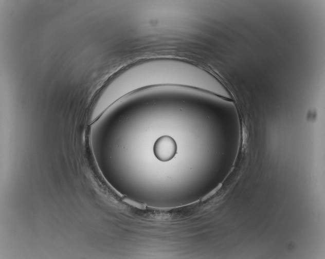 X0000115620301200911101421