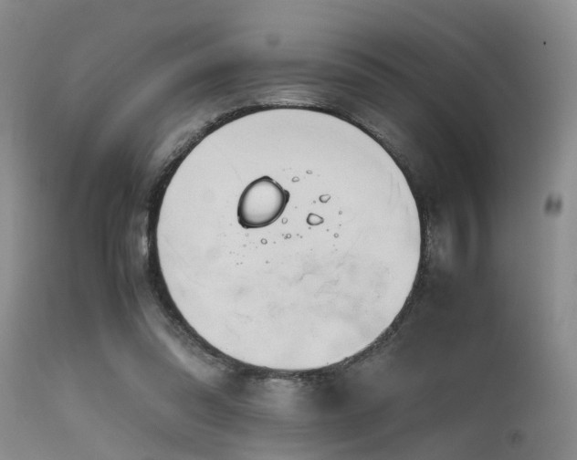 X0000115620302200911101421