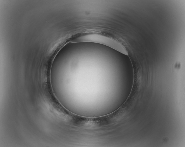 X0000115620303200911101421