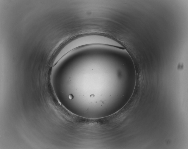 X0000115620304200911101421