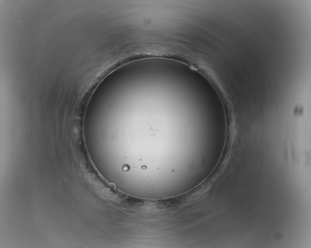 X0000115620305200911101421