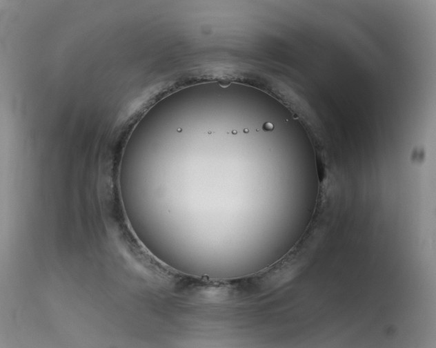 X0000115620306200911101421