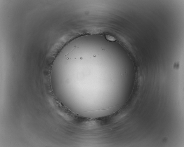 X0000115620307200911101421