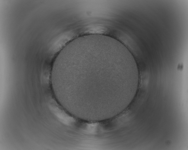 X0000115620309200911101421