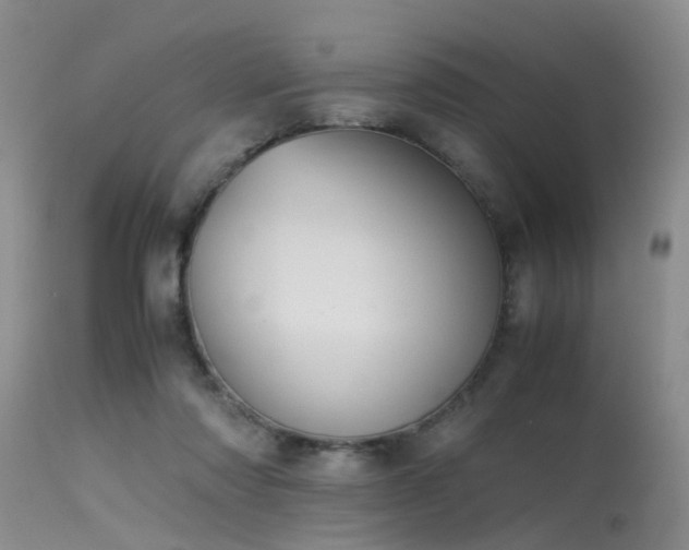 X0000115620310200911101421