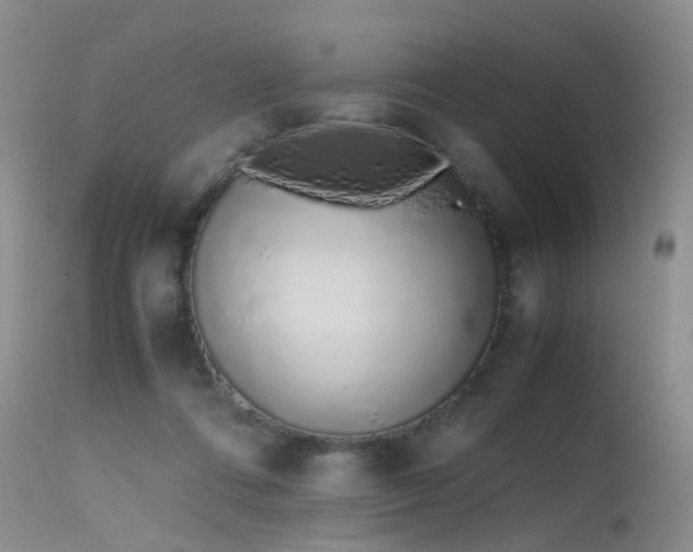 X0000115620312200911101421