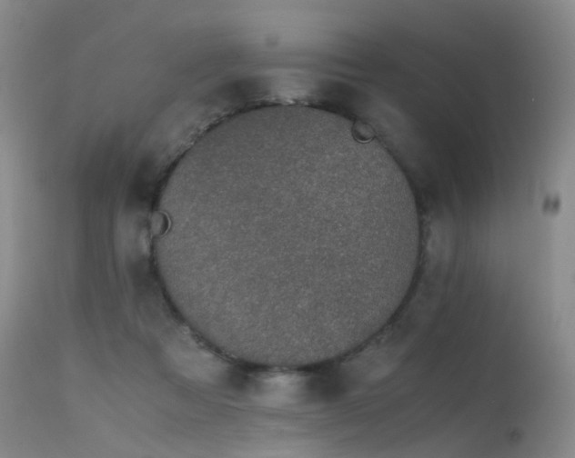 X0000115620313200911101421