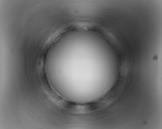 X0000115620314200911101421