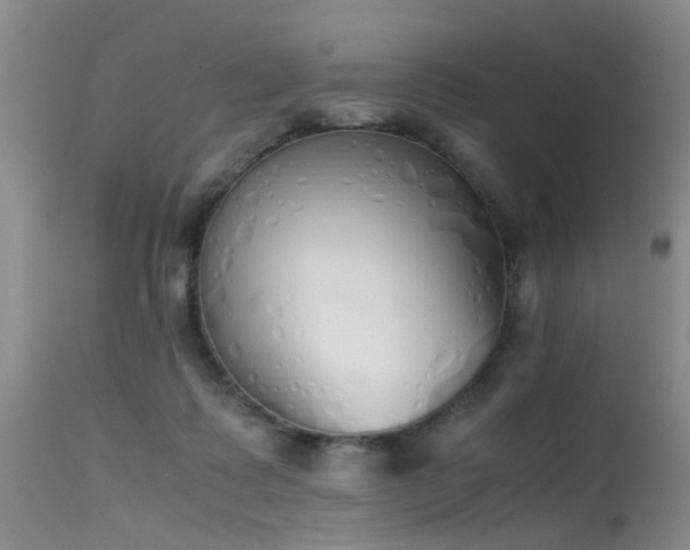 X0000115620315200911101421