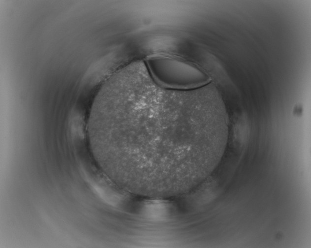 X0000115620316200911101421