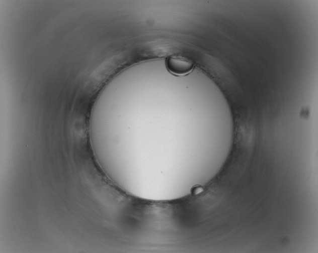 X0000115620317200911101421