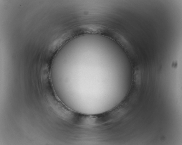 X0000115620318200911101421