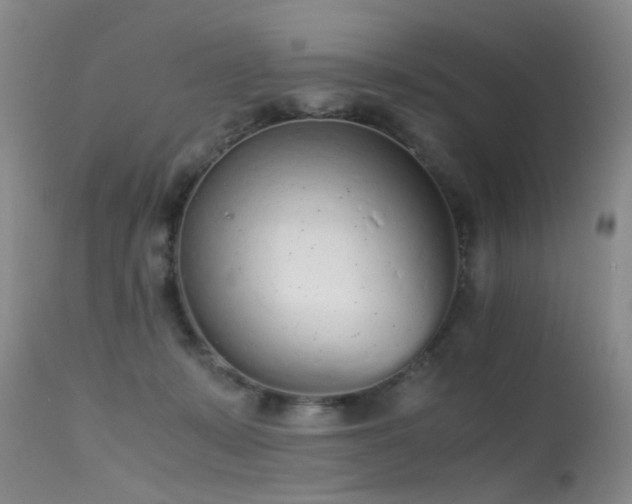 X0000115620319200911101421