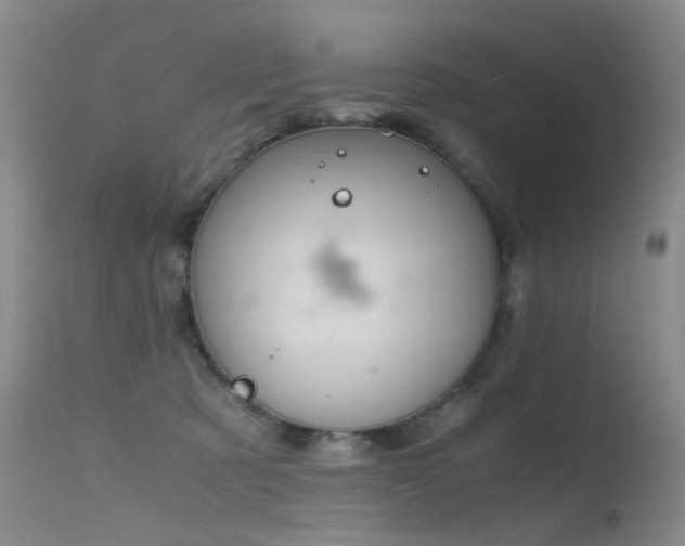 X0000115620321200911101421