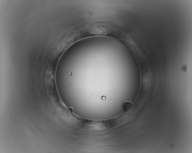 X0000115620322200911101421