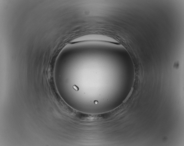 X0000115620323200911101421